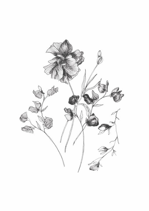 Free Floral Drawings, Download Free Floral Drawings png images, Free  ClipArts on Clipart Library